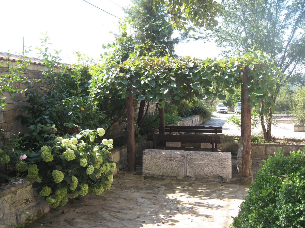 Guest House Galba Bruchkovtsi ภายนอก รูปภาพ